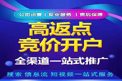 SEM广告创意与执行：成功案例分享